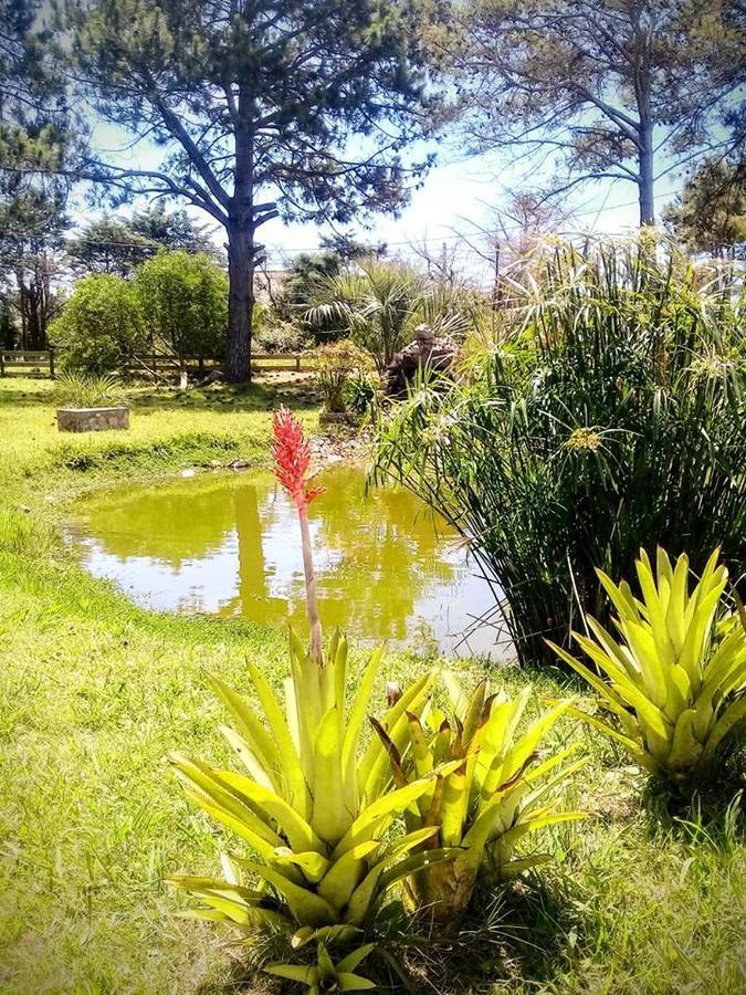 Hostel El Nagual Punta Del Diablo Dış mekan fotoğraf